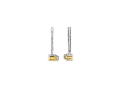 Rhodium Plated | Fashion Earrings